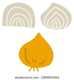 Conjunto de ilustraciones de color dibujadas a mano de cebollas simples y sus secciones transversales