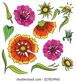Set of handdrawn colored garden flowers and leafs, vector sketch illustration.