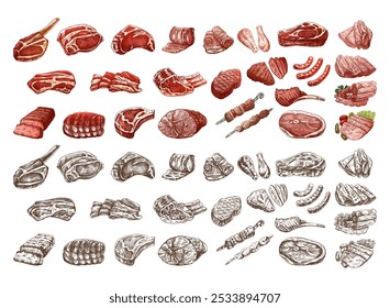 Conjunto de bocetos dibujados a mano de colores y monocromos de diferentes tipos de carne, filetes, pollo, kebabs, tocino, lomo, cerdo, carne de res, jamón, barbacoa. Ilustración de Antiguas. 