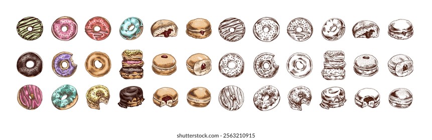 A set of hand-drawn colored sketches of donuts. Vintage illustration. Pastry sweets, dessert. Element for the design of labels, packaging and postcards.