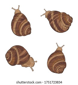 Set of hand-drawn colored vector garden snails. Sketch line art illustration.
