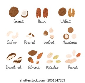 Set of hand-drawn colorful flat nuts illustrations. Nuts in shells. With monoline inscriptions. Vector drawings isolated on white background.