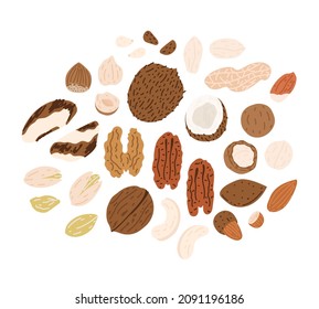 Set of hand-drawn colorful flat nuts illustrations. Nuts in shells. Vector drawings isolated on white background.