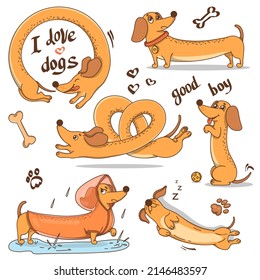 Set of hand-drawn dachshund dogs. Colorful vector illustration in doodle style.