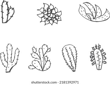 set of hand-drawn desert cacti