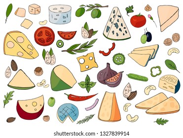 Set of hand-drawn different cheese elements isolated on white background. Vector cheese collection