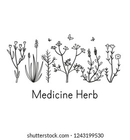 Set of hand-drawn doodle elements of medicine herb. Vector illustration in sketch style on white background.