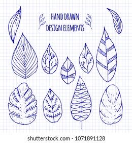 Set of hand-drawn doodle elements. Sketch style vector illustration with branch and leaves. Rustic decorative line borders, tribal decorative elements. For seamless patterns, scrapbooking, invitations