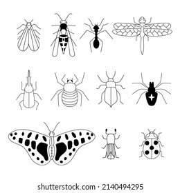 Set hand-drawn doodle insects, moth, wasp, ant, dragonfly, spider, beetle, ladybug, butterfly. Silhouette vintage sketch style illustration. Arthropod animals. Vector illustration. 