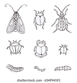 set hand-drawn doodle insects. Sketch of insects