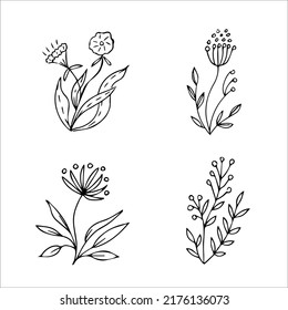 set of hand-drawn doodle plant elements for floral design concept