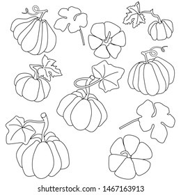 Set of hand-drawn doodle pumpkins. Outline isolated on white vector illustration.