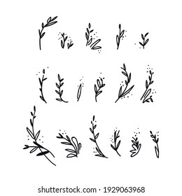 Set of hand-drawn doodle twigs. Collection of abstract black shapes of branches isolated on white. Vector illustration of a stock graphic doodle flowers and twigs isolated on a white background.