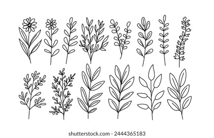 Set of hand-drawn doodles of wild flowers and plants
