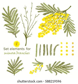 Set of hand-drawn elements for branches of mimosa. A good idea for your design, poster, greeting card, web banner. Vector illustration