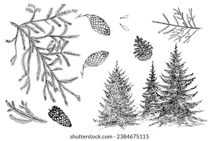 Ein Satz handgezeichneter Elemente zum Erstellen von Weihnachtskarten. Eine handgezeichnete Zeichnung. Strauße Zweige, Zapfen, Bäume oder auf weißem Hintergrund.