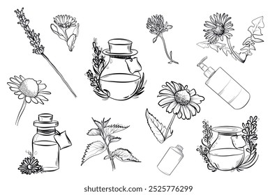 a set of hand-drawn essential oils of lavender, chamomile, nettle vector