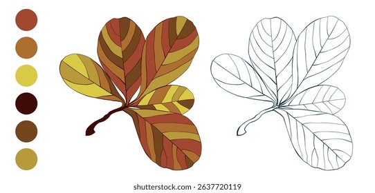 Set of hand-drawn fall colored autumn leaves isolated on white background. Flat and line styles vector illustration.


