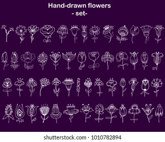 Set of hand-drawn fantasy flowers for the design on the ultraviolet background.