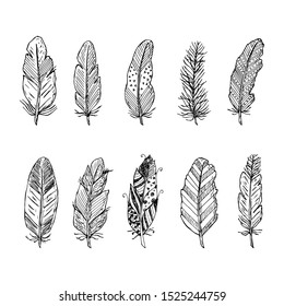 Set of hand-drawn feathers. Vector cartoon illustrations. Isolated objects on a white background.