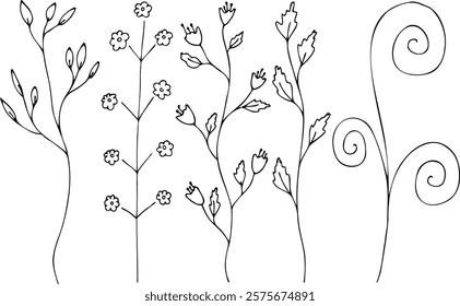 Set hand-drawn floral branches in black ink ready for creative projects Natural elegant elements Set of hand drawn dividing Silhouette brush strokes isolated on white background