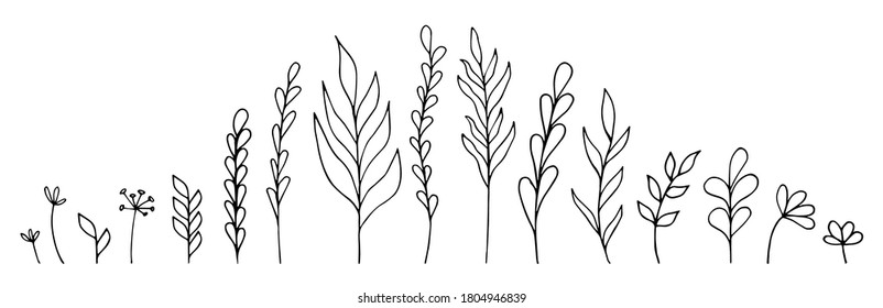 Set of hand-drawn floral elements: plants, branches, leaves, buds, sprouts. Vector illustration in doodle style on white background