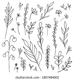 Conjunto de elementos florales dibujados a mano: plantas, ramas, hojas, brotes, brotes. Ilustración vectorial en estilo doodle sobre fondo blanco