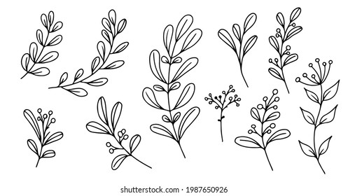 Conjunto de elementos florales hechos a mano, plantas de doodle y ramas sobre un fondo blanco. Elementos esquemáticos del diseño. Ilustraciones del doodle vectorial