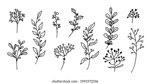 Set of hand-drawn floral elements,doodle plants and branches on a white background. Sketchy elements of design. Vector doodle illustrations