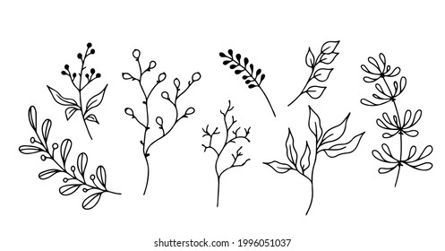Set of hand-drawn floral elements,doodle plants and branches on a white background. Sketchy elements of design. Vector doodle illustrations