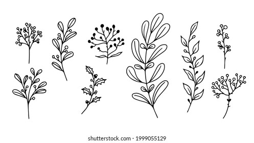 Set of hand-drawn floral elements,doodle plants and branches on a white background. Sketchy elements of design. Vector doodle illustrations