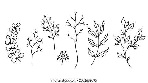 Set of hand-drawn floral elements,doodle plants and branches on a white background. Sketchy elements of design. Vector doodle illustrations