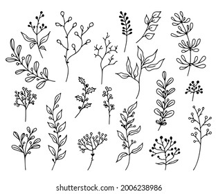 Set handgezeichnete Blumenelemente, duftende Pflanzen und Äste auf weißem Hintergrund. Skizzenhafte Designelemente. Vektordoodle-Illustrationen