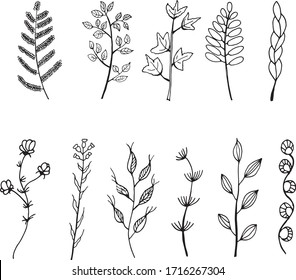 Set of hand-drawn flowers, branches and leaves. It is nice to combine with each other and create your own unique design.