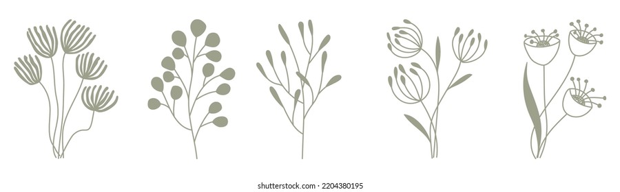 Flores y hierbas dibujadas a mano. Ilustración botánica monocromática vectorial de elementos de la rama de las flores para postales, invitaciones de boda, citas, blogs, marcos, etiquetas. Diseño rústico botánico.