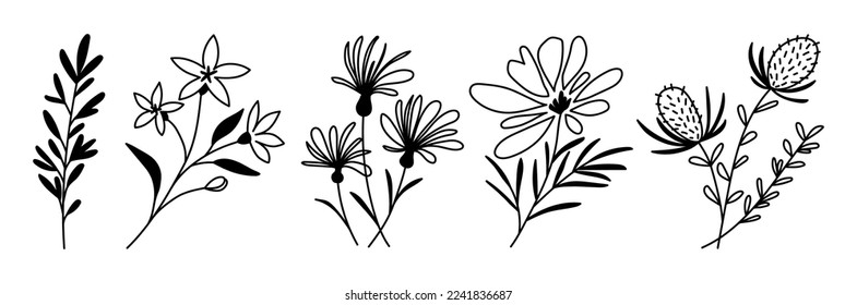 A set of hand-drawn flowers and herbs. Botanical monochrome vector illustration Elements of an elegant flower branch for postcards, wedding invitations, quotes, blogs, frames, labels. Rustic design.