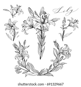 Set of hand-drawn flowers. Lily for wedding invitations, greeting cards, packages, T-shirts, labels and other.