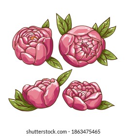 Un conjunto de flores dibujadas a mano sobre un fondo blanco. Ilustración vectorial.