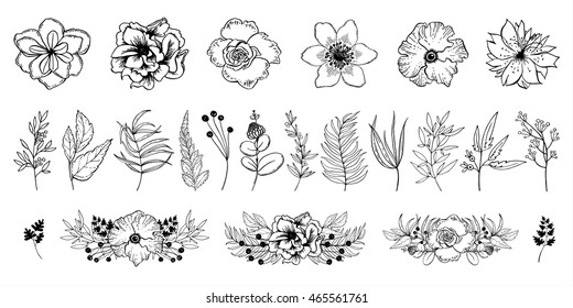 Set of hand-drawn flowers and plants in the rustic style. Flower composition.