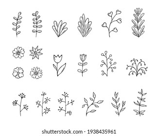Set of hand-drawn flowers and plants.Doodle style, sketch,simple botanical line,drawing with floral elements,minimalism.Isolated.Vector illustration.