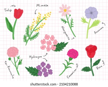 Set of hand-drawn flowers, vector illustration.