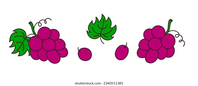Conjunto de uvas hechas a mano sobre un fondo transparente. Ilustración vectorial aislada de frutos jugosos