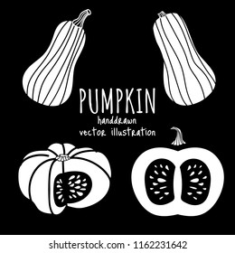 A set of  handdrawn graphic pumpkins,isolated on black background. Vector illustration. Concept for gardening, autumn harvest.  Flat style design.