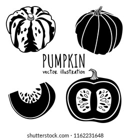 A set of  handdrawn graphic pumpkins,isolated on white background. Vector illustration. Concept for gardening, autumn harvest.  Flat style design.