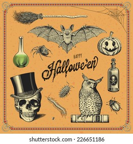 set of hand-drawn Halloween design elements