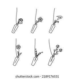 Set of Hand-drawn Hanging Plants in the Bottle Glass