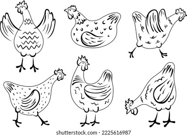 Set of hand-drawn hen. Chicken illustration domestic birds.