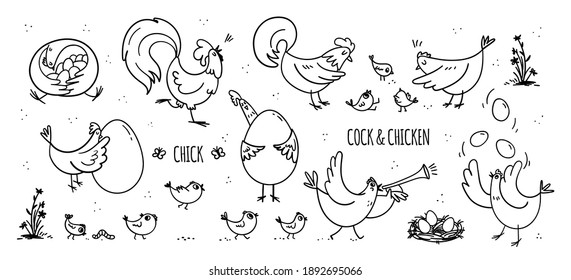 A set of hand-drawn hens and roosters with their little chickens. A collection of funny domestic birds living their own life on the farm. Vector stock illustrations in doodle style isolated on white.