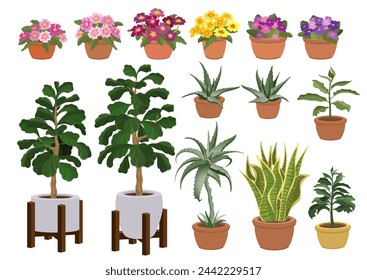 Conjunto de plantas de interior dibujadas a mano. Una variedad de flores de la casa. Plantas de interior en macetas de cerámica. Planta en maceta aislada sobre un fondo blanco. Decoración de interiores de hogar u oficina. Ilustración del vector 3D.