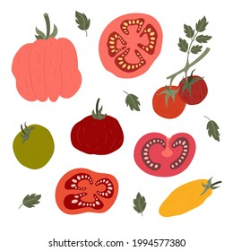 Set of hand-drawn illustrated tomatoes with tomato slices and leaves. Red, pink, yellow, green. Flat organic style. Isolated on white background.